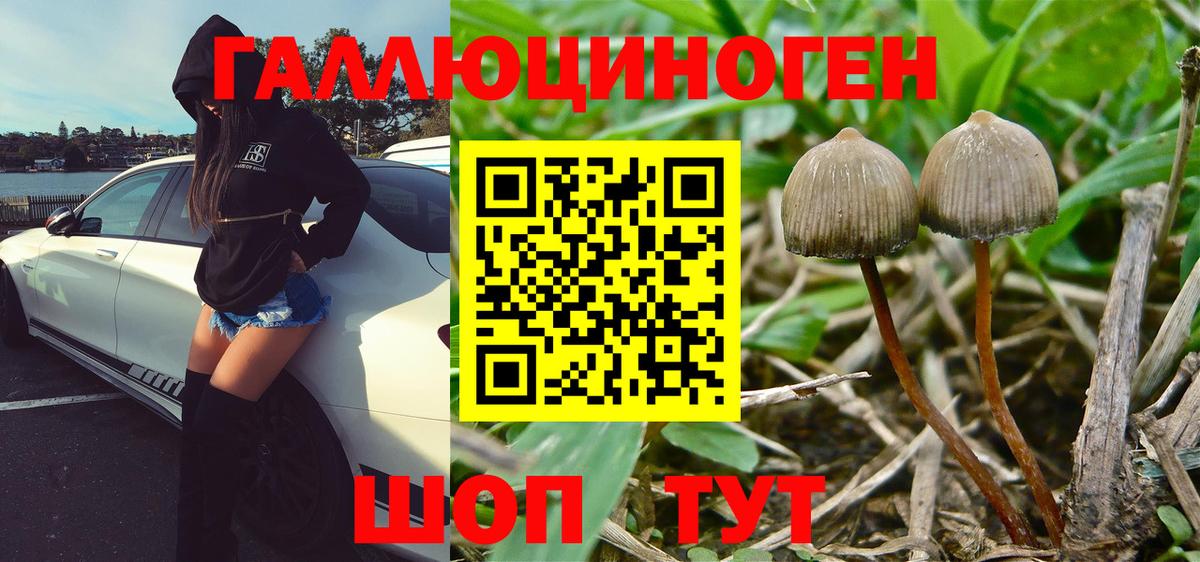 Трёхгорный  Галлюциногенные грибы Psilocybe  Псилоцибиновые грибы Magic Shrooms  Вход с VPN 